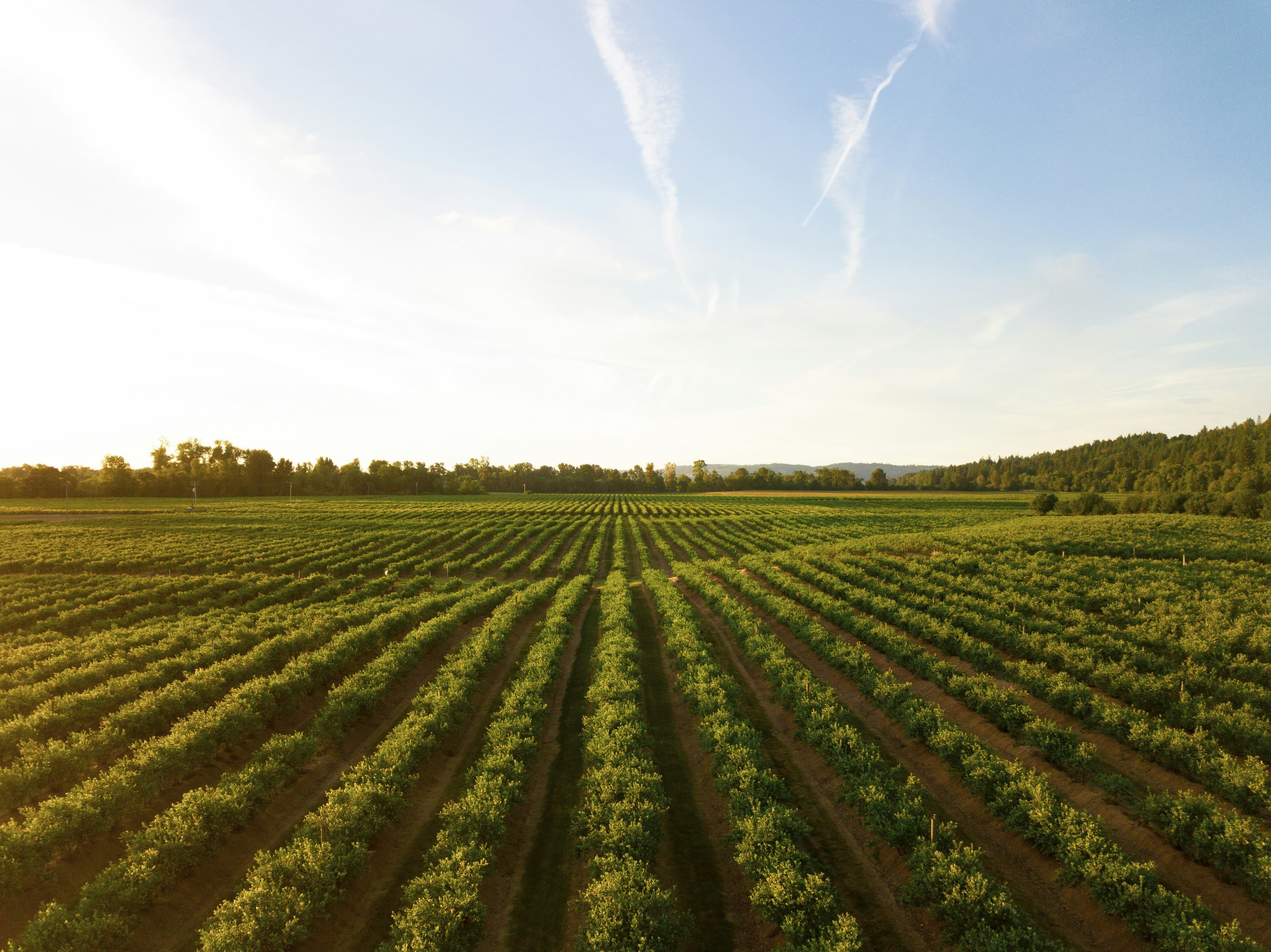 Agri-Green farmland