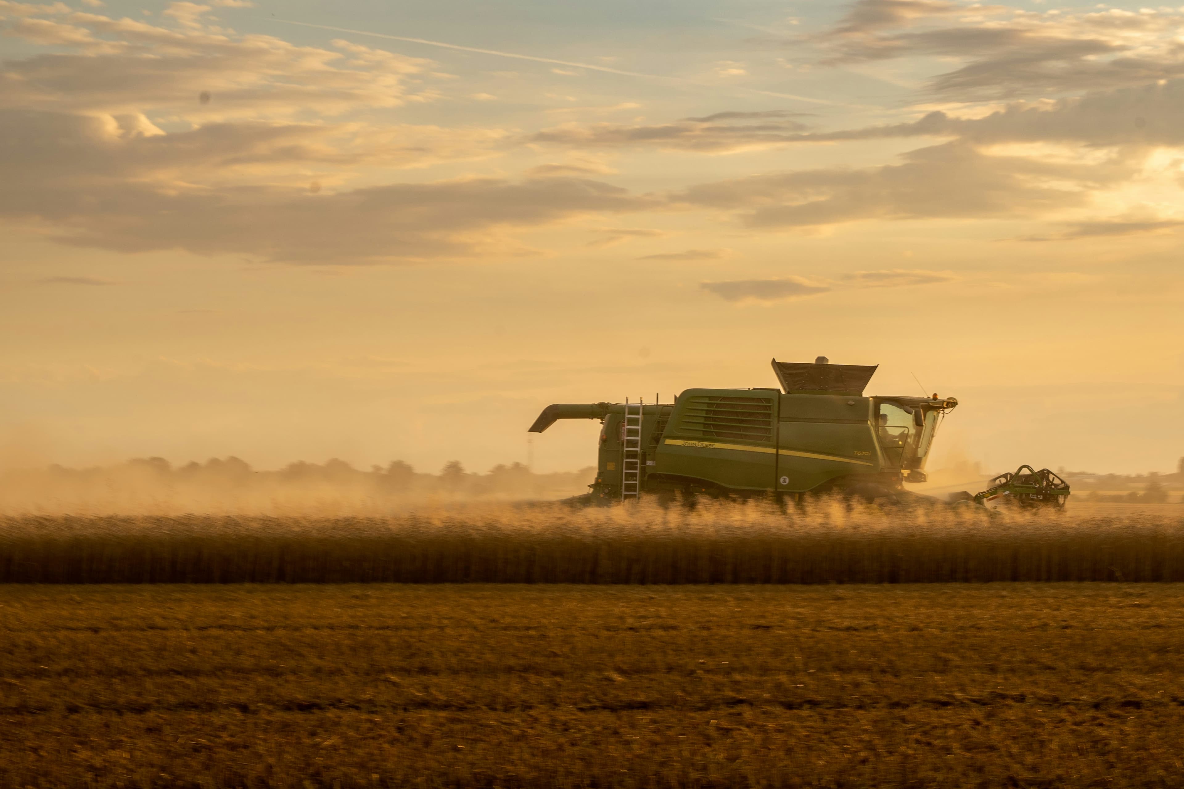 Golden hour farm sunset